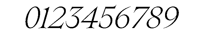 SpyreEpoch LightItalic Font OTHER CHARS