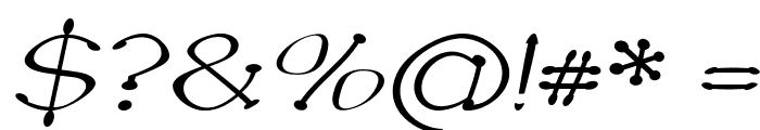 Sputz-Italic Font OTHER CHARS