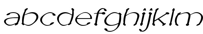 Sputz-Italic Font LOWERCASE