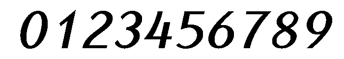 Spiggie Bold Italic Font OTHER CHARS