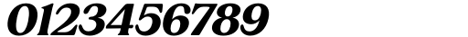 Sregs Serif Display Bold Italic Font OTHER CHARS