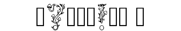 Starling Regular Font OTHER CHARS