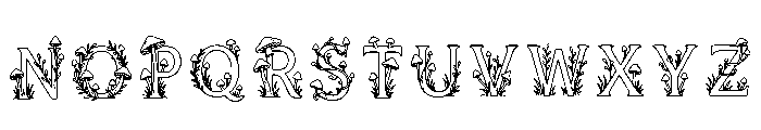 Starling Regular Font LOWERCASE