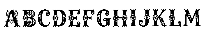 Sterc Regular FONT