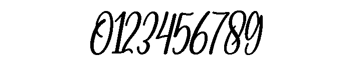 Stylish Handwritten Regular Font OTHER CHARS