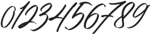 Stapelia Hirsuta Script otf (400) Font OTHER CHARS