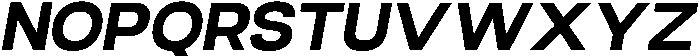 Stark Nue Bold-Italic otf (700) Font UPPERCASE