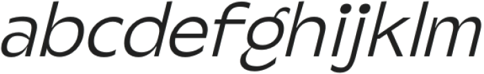 Steg Pro Light Italic otf (300) Font LOWERCASE