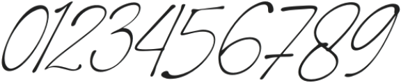 StelashildScript-Regular otf (400) Font OTHER CHARS