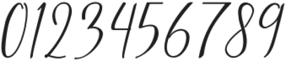 StellariaOblique otf (400) Font OTHER CHARS