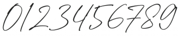 Strainger Signatures otf (400) Font OTHER CHARS