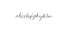 Stylish Script.ttf Font LOWERCASE