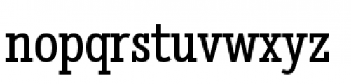 Stint Pro Condensed Font LOWERCASE