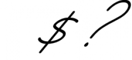Starcity Script // Signature Font 1 Font OTHER CHARS