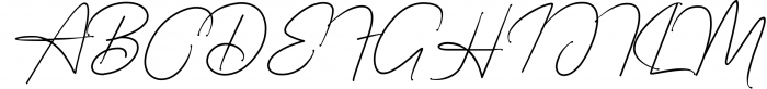 Starcity Script // Signature Font Font UPPERCASE