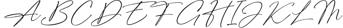 Strainger Signatures Font Font UPPERCASE