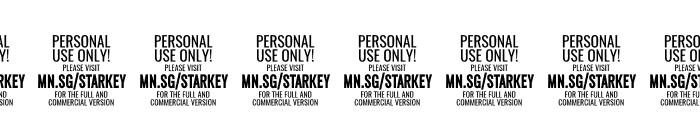 Starkey Italic PERSONAL USE Font OTHER CHARS