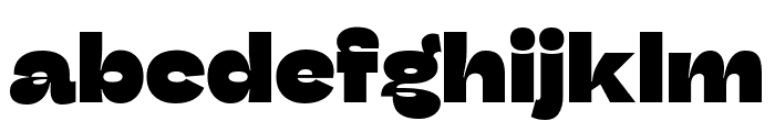 Stinger Fit Trial Heavy Font LOWERCASE
