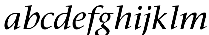 Stone Italic Font LOWERCASE