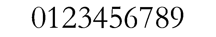 STFangsong Font OTHER CHARS