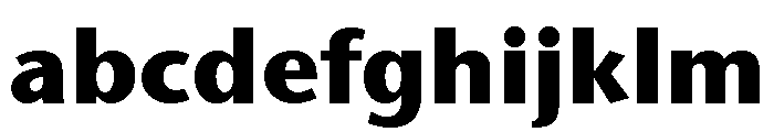 Stone Sans ITC TT Bold FONT