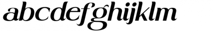Stainger Italic Font LOWERCASE