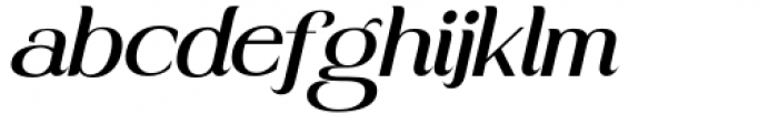 Stainger Light Italic Font LOWERCASE