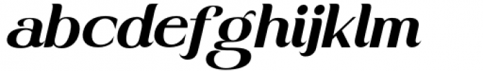 Stainger Medium Italic Font LOWERCASE