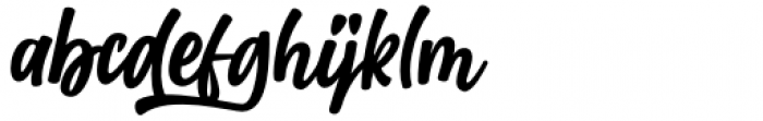 Starkey Italic Font LOWERCASE