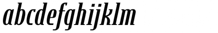 Steletto Neue Serif Bold Oblique Font LOWERCASE