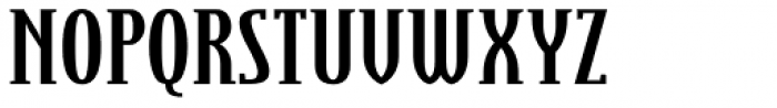 Steletto Neue Serif Bold Font UPPERCASE