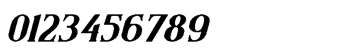 Stellaviva Medium Italic Font OTHER CHARS