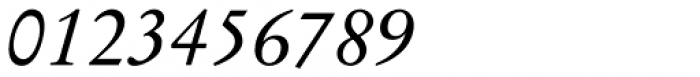 Stempel Garamond Pro Italic Font OTHER CHARS