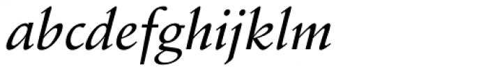 Stempel Schneidler Medium Italic Font LOWERCASE