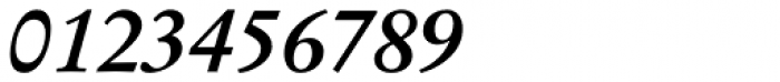 StempelGaramond Bold Italic Font OTHER CHARS