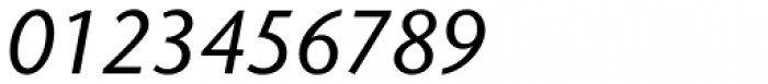 Stone Sans II Pro Medium Italic Font OTHER CHARS