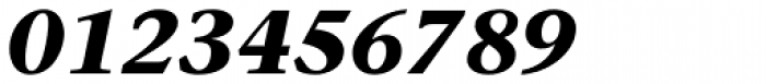 Stone Serif Bold Italic Font OTHER CHARS