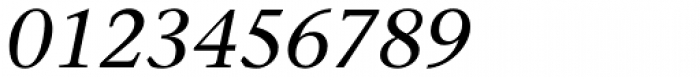 Stone Serif Italic Font OTHER CHARS