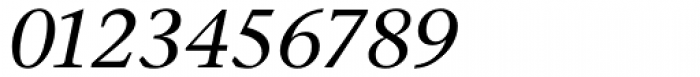 Stone Serif Medium Italic Font OTHER CHARS