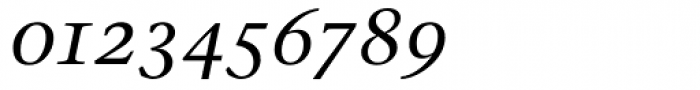 Stone Serif OS Medium Italic Font OTHER CHARS