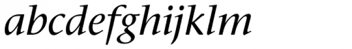 Stone Serif Pro Medium Italic Font LOWERCASE
