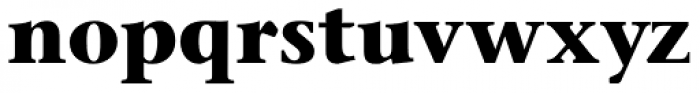Stone Serif Std Bold Font LOWERCASE