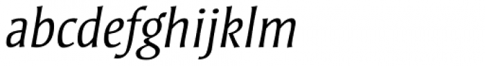 Strayhorn Pro Light Italic Font LOWERCASE