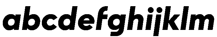 STKAstro HeavyItalic FONT