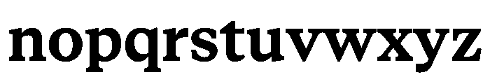 STKBureauSerifCollection Bold Instance Font LOWERCASE