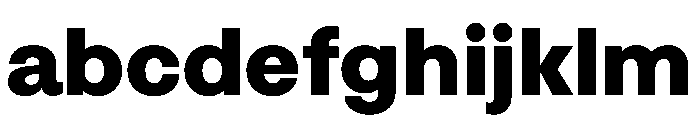STKMisoComplete Black Instance FONT