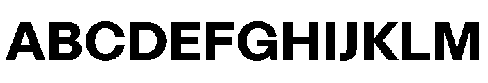STKMisoComplete Bold Instance Font UPPERCASE
