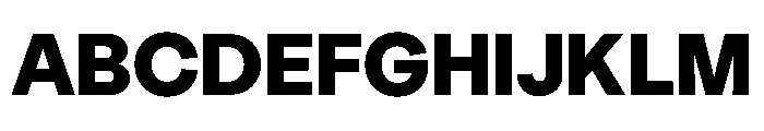 StabilGrotesk Black Instance Font UPPERCASE