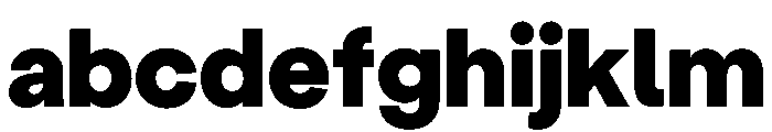 StabilGrotesk Black Instance FONT
