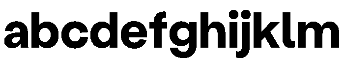 StabilGrotesk Bold Instance FONT